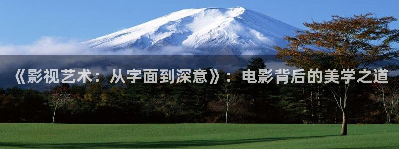 奇优影院狂飙：《影视艺术：从字面到深意》：电影背后的美学之道